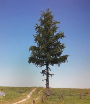 Spruce half-high Profiline